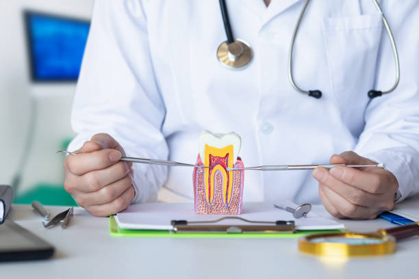 Best Weekend Emergency Dentist in Fishers, IN
